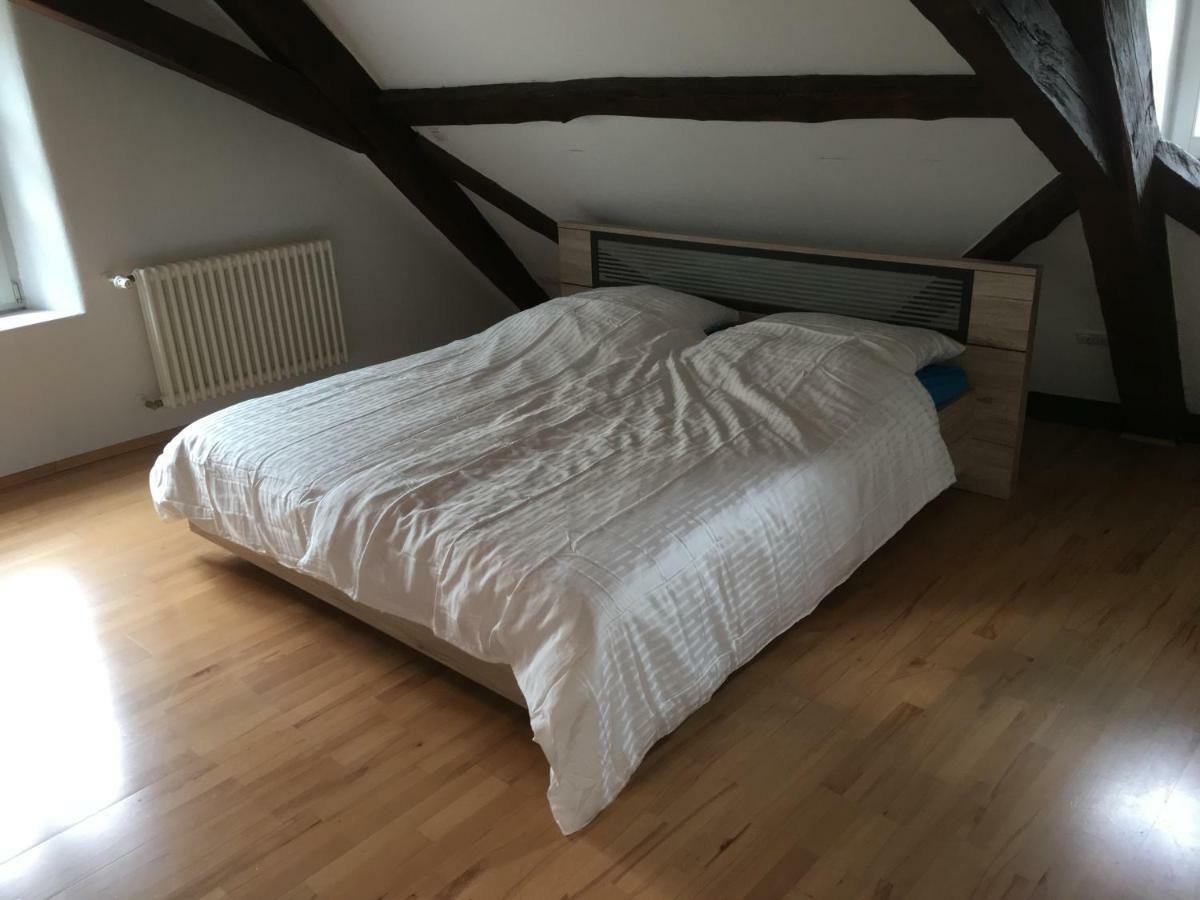 Kaiserslautern Apartment Kültér fotó